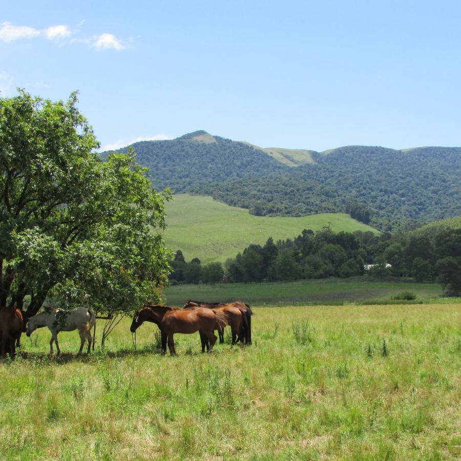Karkloof Hideout Βίλα Howick Εξωτερικό φωτογραφία